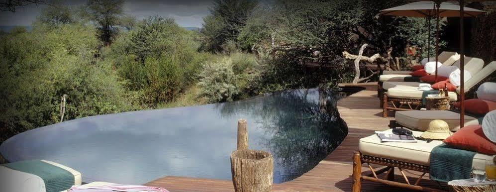 שמורת הציד מאדיקווה Sanctuary Makanyane Safari Lodge מראה חיצוני תמונה