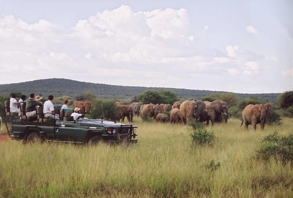 שמורת הציד מאדיקווה Sanctuary Makanyane Safari Lodge מראה חיצוני תמונה